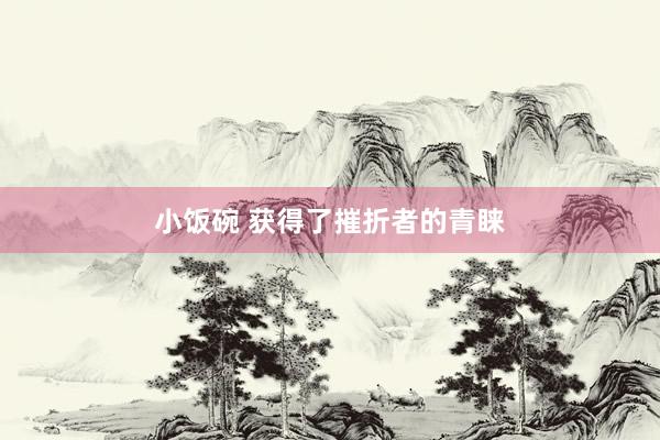 小饭碗 获得了摧折者的青睐