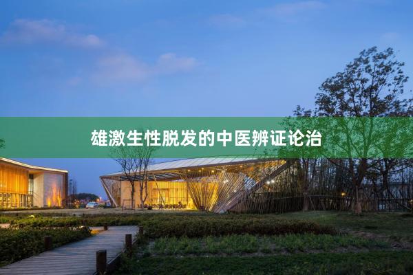 雄激生性脱发的中医辨证论治