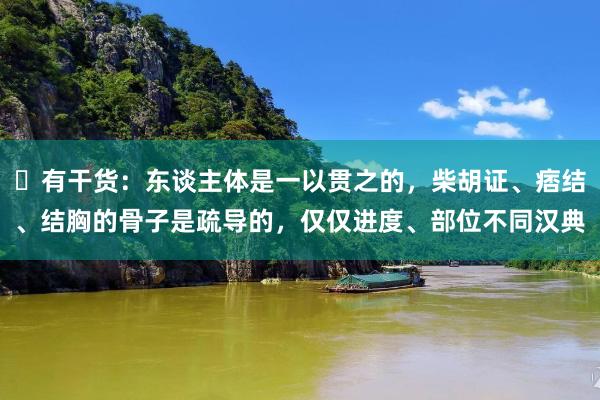 有干货:东谈主体是一以贯之的,柴胡证、痞结、结胸的骨子是疏导的,仅仅进度、部位不同汉典