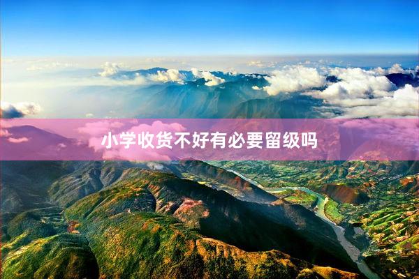 小学收货不好有必要留级吗