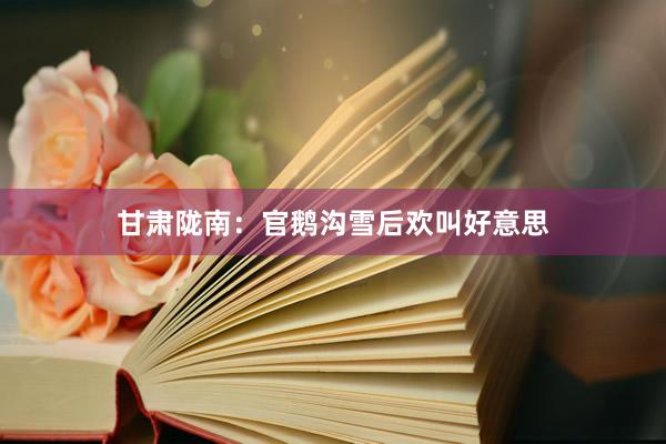 甘肃陇南：官鹅沟雪后欢叫好意思