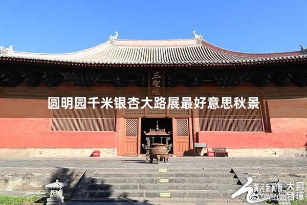 圆明园千米银杏大路展最好意思秋景