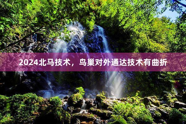 2024北马技术，鸟巢对外通达技术有曲折