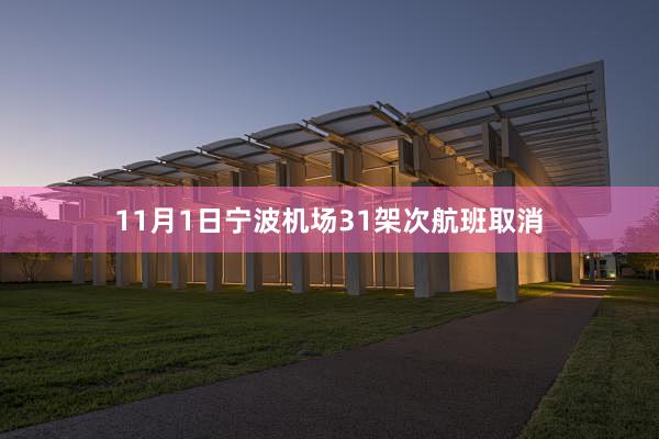 11月1日宁波机场31架次航班取消