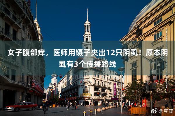 女子腹部痒，医师用镊子夹出12只阴虱！原本阴虱有3个传播路线