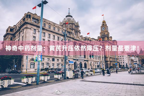 神奇中药剂量：黄芪升压依然降压？剂量是要津！