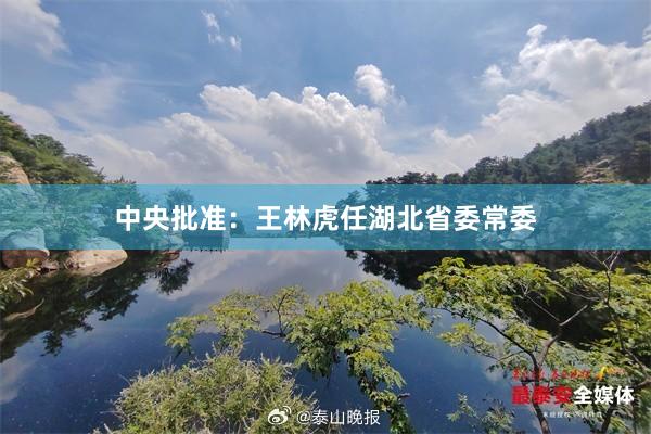 中央批准：王林虎任湖北省委常委