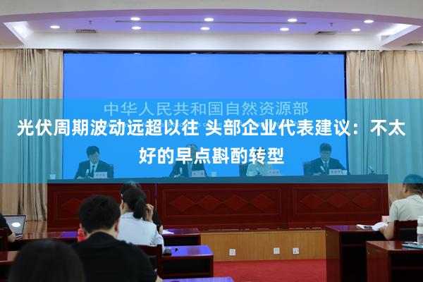 光伏周期波动远超以往 头部企业代表建议：不太好的早点斟酌转型