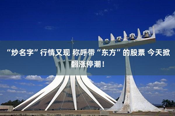 “炒名字”行情又现 称呼带“东方”的股票 今天掀翻涨停潮！