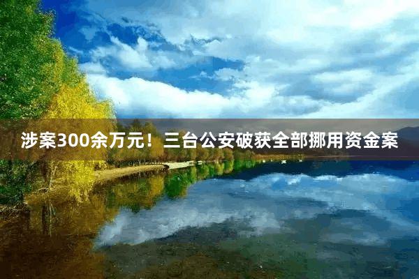 涉案300余万元！三台公安破获全部挪用资金案