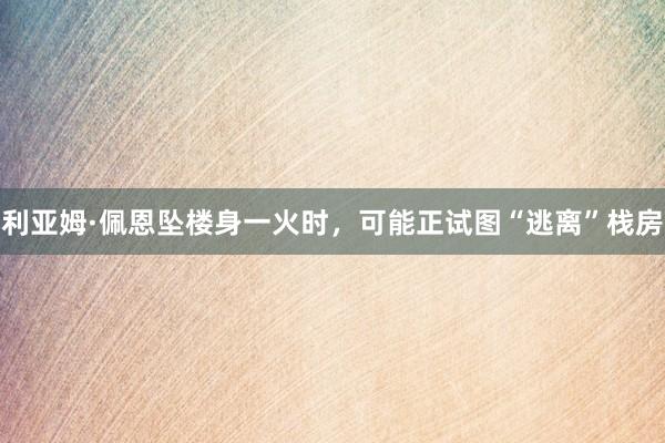 利亚姆·佩恩坠楼身一火时，可能正试图“逃离”栈房