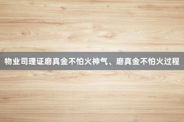 物业司理证磨真金不怕火神气、磨真金不怕火过程