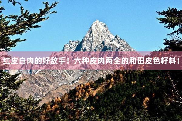 红皮白肉的好敌手！六种皮肉两全的和田皮色籽料！