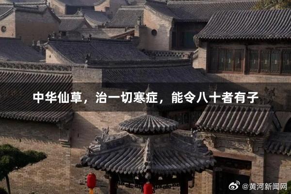 中华仙草，治一切寒症，能令八十者有子