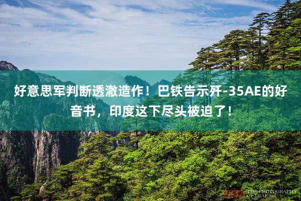 好意思军判断透澈造作!巴铁告示歼-35AE的好音书,印度这下尽头被迫了!