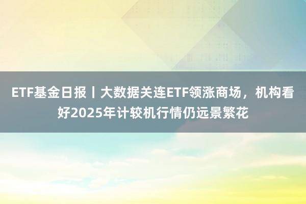 ETF基金日报丨大数据关连ETF领涨商场，机构看好2025年计较机行情仍远景繁花
